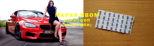 стаф Аркадак