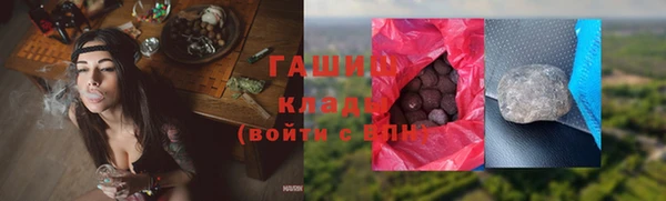 стаф Аркадак