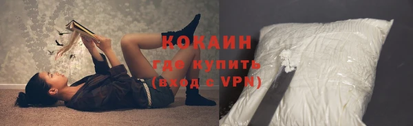 стаф Аркадак