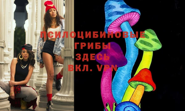 сатива Арсеньев