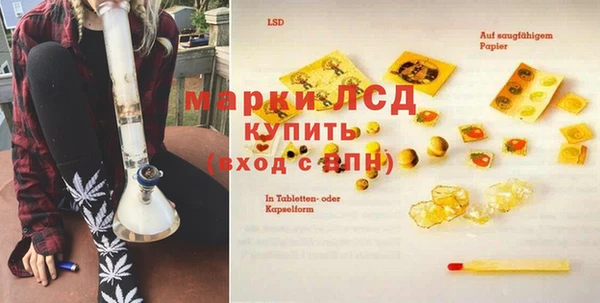 сатива Арсеньев