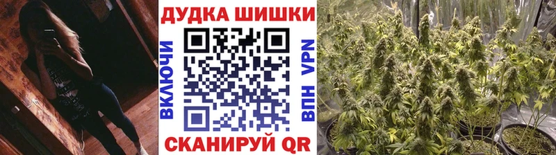 Купить закладки  Бокситогорск  Каннабис план 